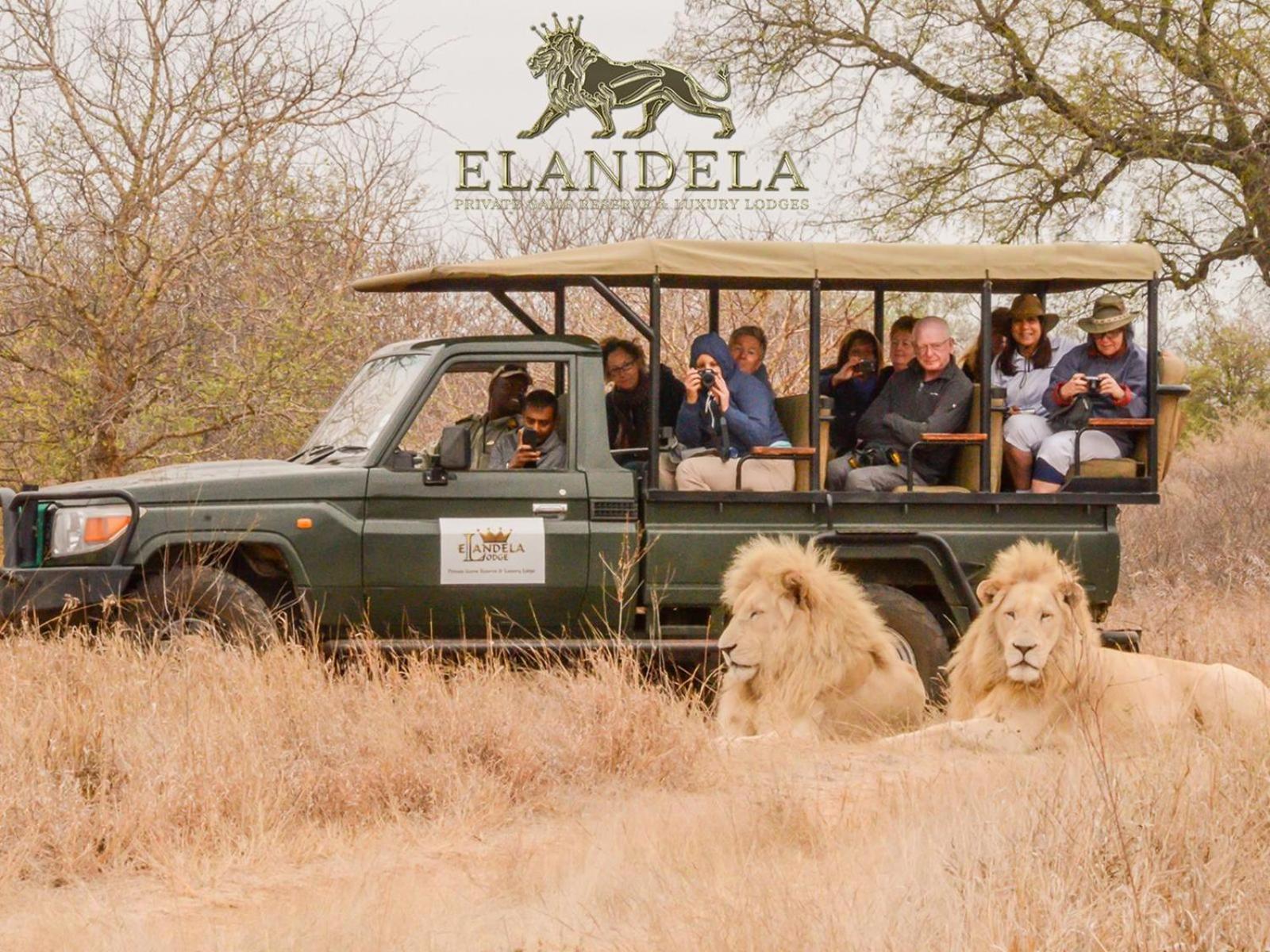 Elandela Private Game Reserve&Luxury Lodge Hoedspruit Exterior foto